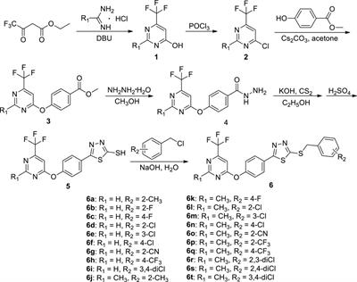 Novel Pyrimidine Derivatives Bearing a 1,3,4-Thiadiazole Skeleton: Design, Synthesis, and Antifungal Activity